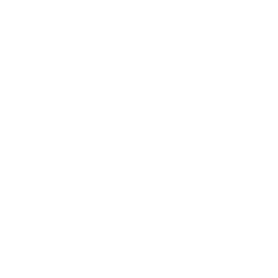 Portfolio logo 